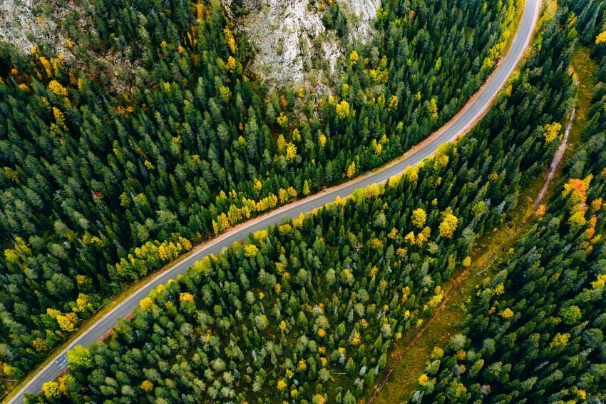 aerial-view-of-curve-road-and-colorful-autumn-fore-2021-08-29-06-51-34-utc850
